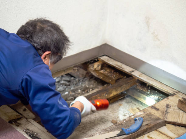 Water Damage Restoration in Tappahannock, VA