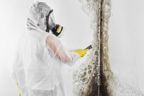 Best Residential Mold Removal  in Tappahannock, VA