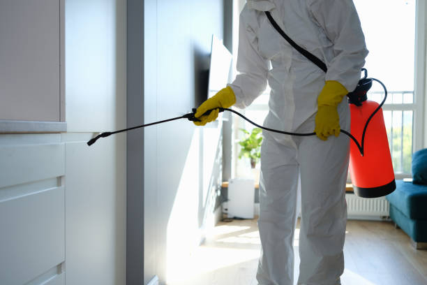 Best Attic Mold Removal  in Tappahannock, VA
