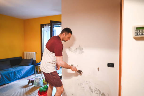 Best Mold Removal Specialists  in Tappahannock, VA