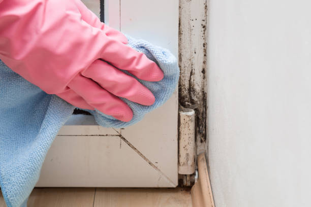 Best Mold Testing  in Tappahannock, VA